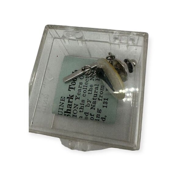 Genuine shark tooth cuff link in a clear box - Picture 12 of 12
